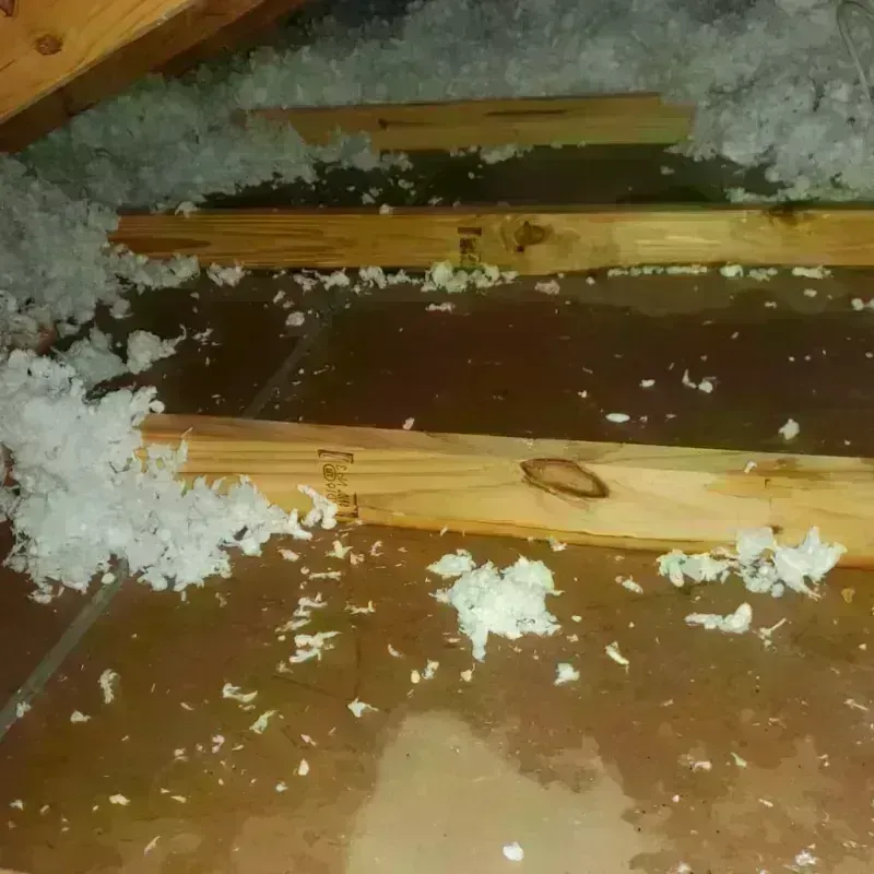 Attic Water Damage in Yuba County, CA