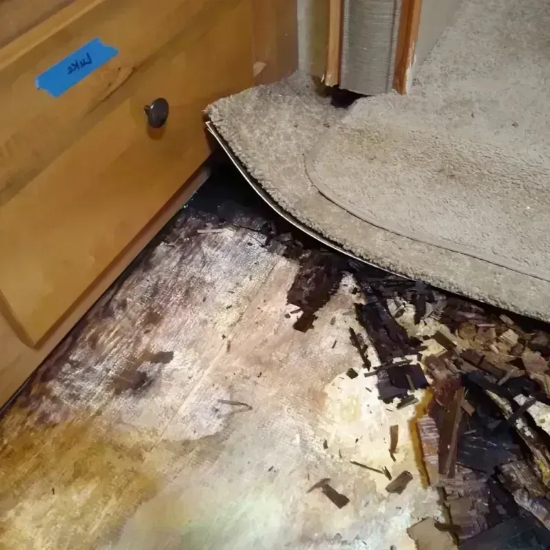 Wood Floor Water Damage in Yuba County, CA